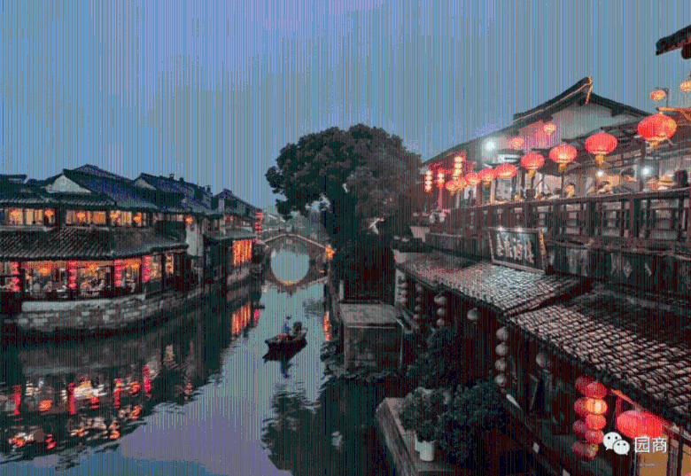 山乡鸽声响 致富路上忙